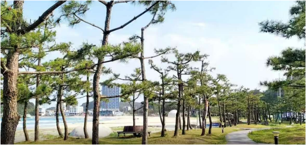 양양 BLUE12 네오스죽도해변 오션뷰, 가성비 숙소 사진