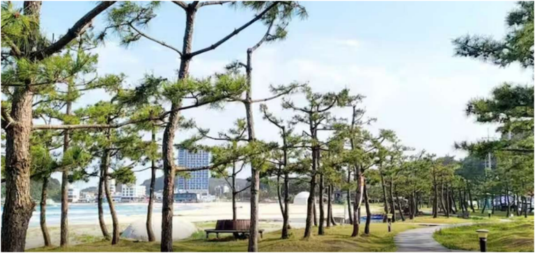 양양 BLUE12 네오스죽도해변 오션뷰, 가성비